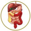 Ulcerative-Colitis
